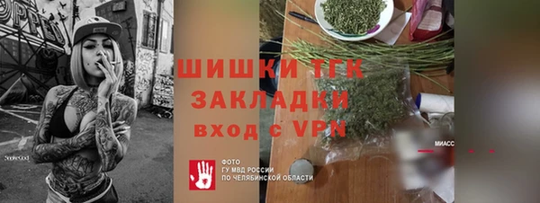 прущие грибы Богородск